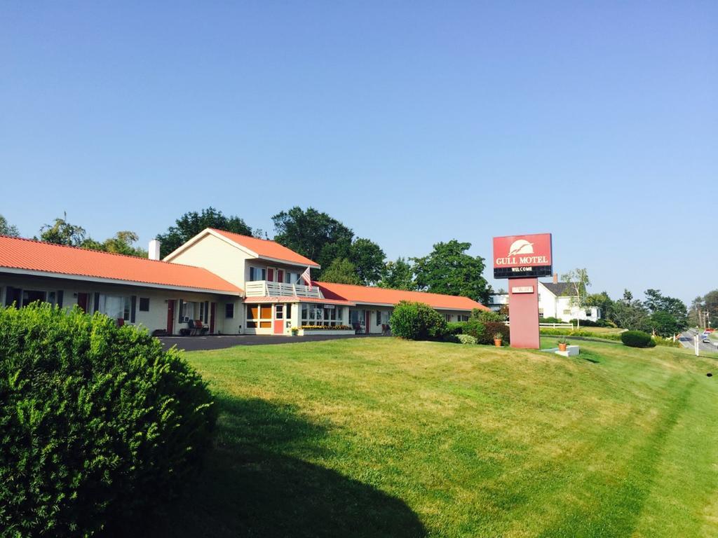 The Gull Motel, Belfast Exterior photo